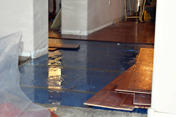 Professional Burst Pipe Cleanup technician working in East Andover, NH